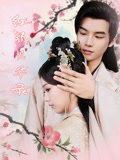 短剧《红颜风华录》免费 4K 高清短剧全集在线，完整版观看无限制，大结局已更新  第1张